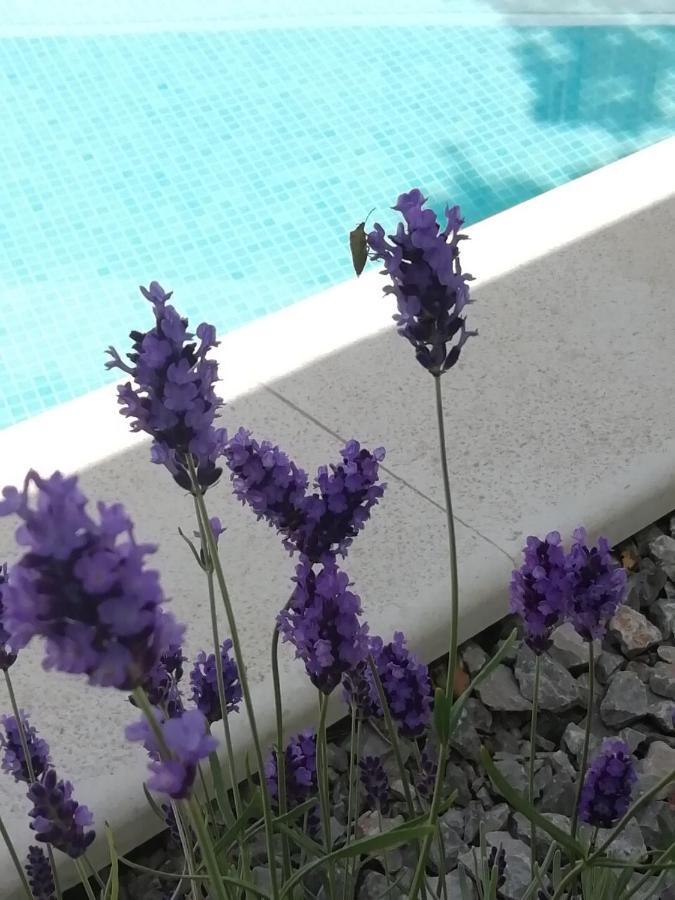 Vila Martina - Bellevue Šmrika Exteriér fotografie